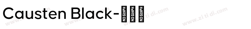 Causten Black字体转换